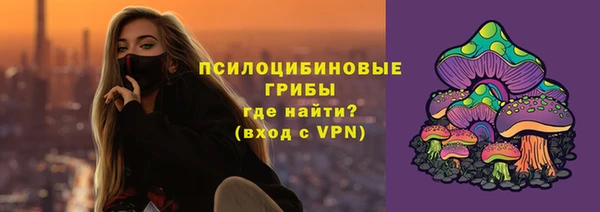 ПСИЛОЦИБИНОВЫЕ ГРИБЫ Алексин