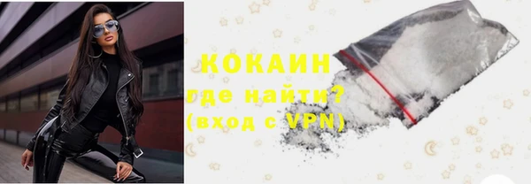 PSILOCYBIN Алзамай