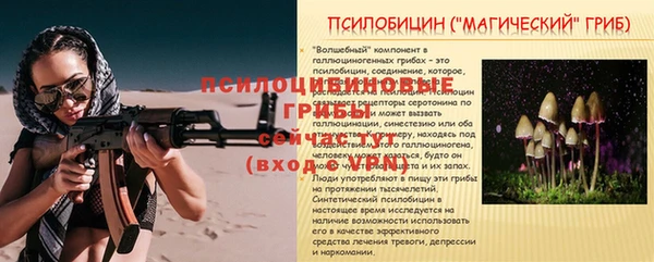 PSILOCYBIN Алзамай