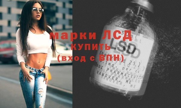 PSILOCYBIN Алзамай